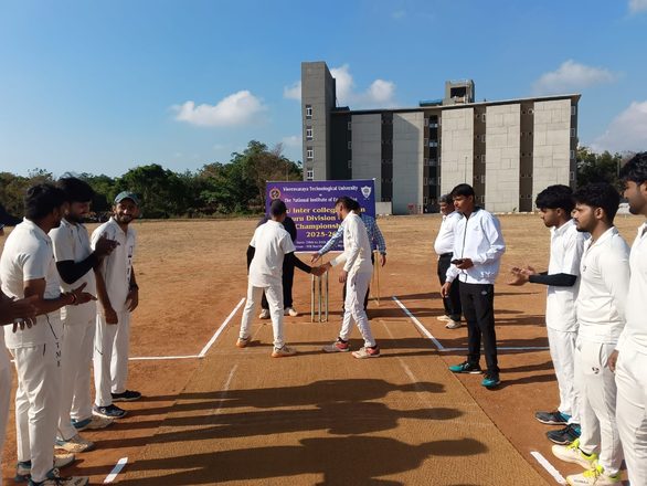 Sports Activity